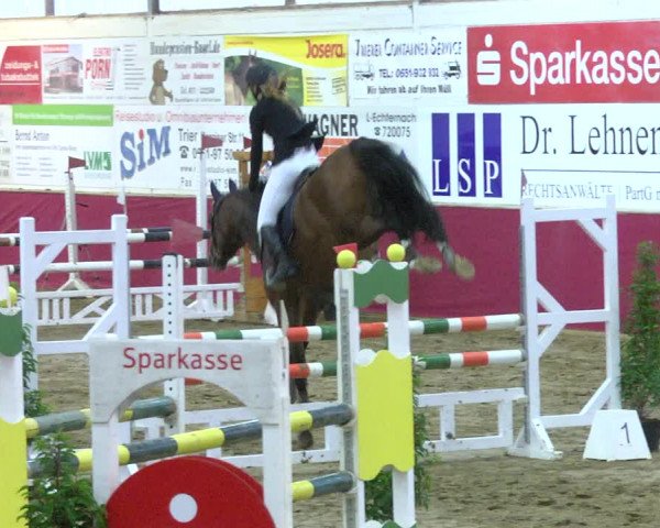 Reitturnier Trier - Hofgut Monaise 2017