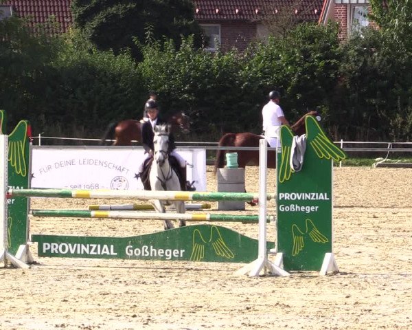 Reitturnier Ascheberg 2021