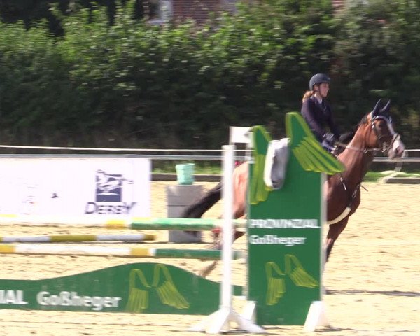 Reitturnier Ascheberg 2021
