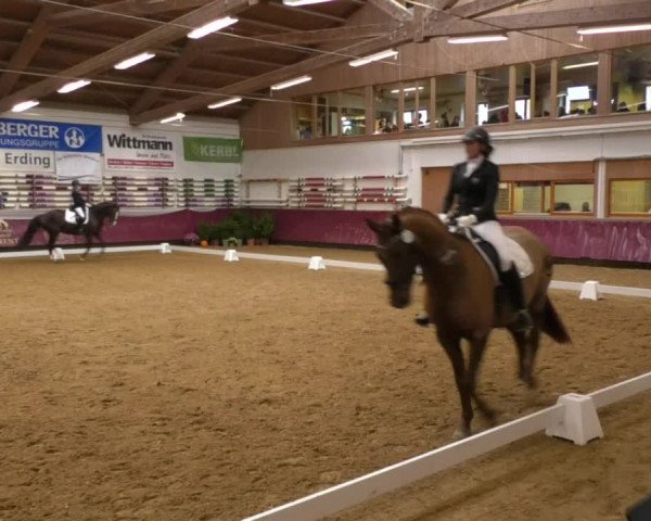 Reitturnier Eicherloh RH Laurent 2017