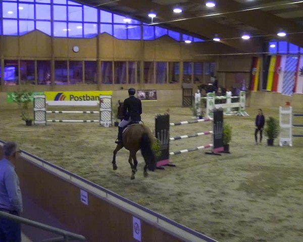 Reitturnier Köln-Leverkusen 2017