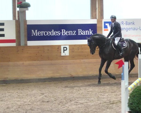 Reitturnier Langenau 2017 - Late Entry nur Springen