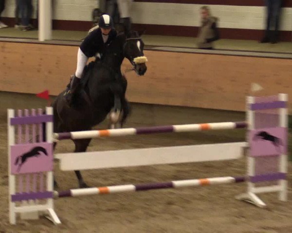 Reitturnier Alt Marl 2017