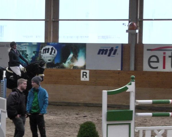 Reitturnier Langenau 2017 - Late Entry nur Springen