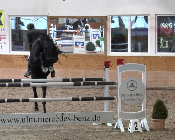 Reitturnier Langenau 2017 - Late Entry nur Springen