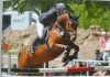 jumper Cinslay (German Sport Horse, 2012, from Cinsey)