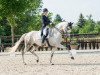 dressage horse Garibaldi 90 (Trakehner, 2006, from Distelzar)