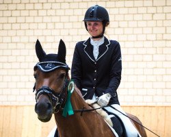 dressage horse Lambada (Hannoveraner, 2013, from Lord Loxley I)