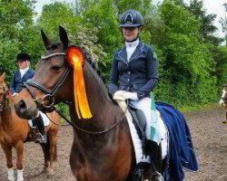 dressage horse Die Feine Chanel (German Riding Pony, 2005, from Der feine Lord AT)