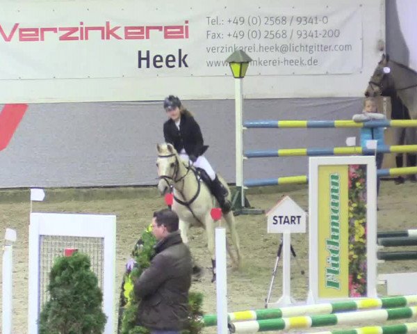 20. Legdener Ponymeeting 2017