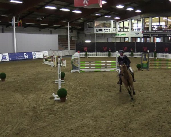 Reitturnier Münster-Handorf 2021