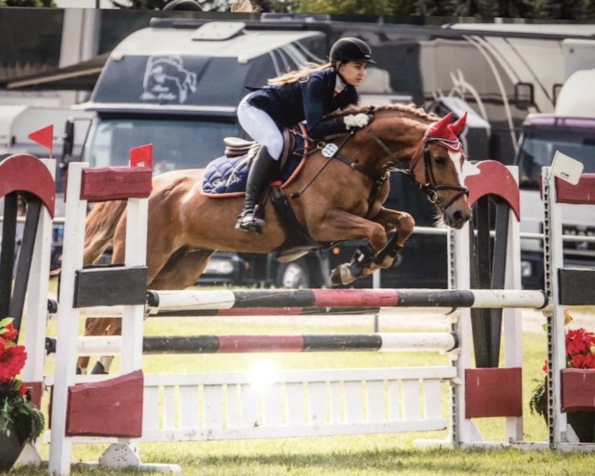 broodmare Fienchen 18 (German Riding Pony, 2005, from Freemann T.Porter)