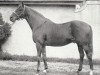 stallion Apron xx (Thoroughbred, 1920, from Son In Law xx)