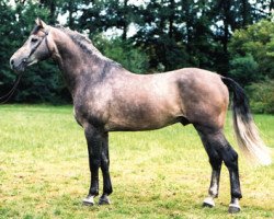 Deckhengst Landzauber (Holsteiner, 1994, von Landadel)