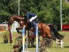 jumper Cheerio R (Hessian Warmblood, 2008, from Chequille 2)