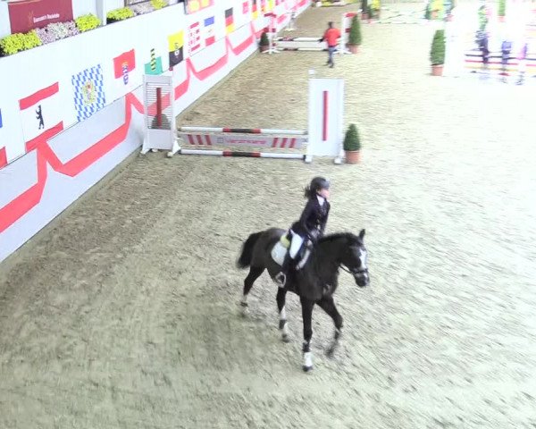 20. Legdener Ponymeeting 2017