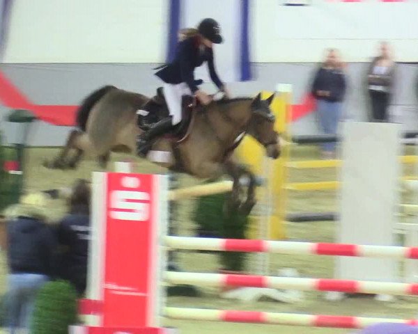 20. Legdener Ponymeeting 2017