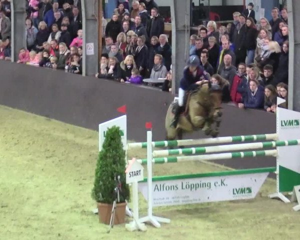 20. Legdener Ponymeeting 2017