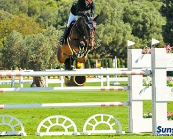 jumper Broadway (KWPN (Royal Dutch Sporthorse), 2006, from Isard du Rietz)