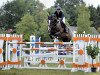 jumper Quickstead (Hanoverian, 2008, from Quicksilber)