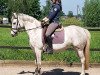 Zuchtstute Chicadiva (Deutsches Reitpony, 2012, von Fs Coco Jambo)