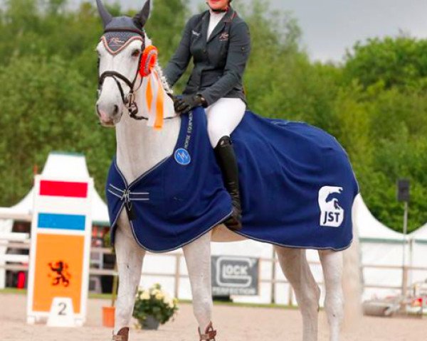 jumper Alonso 3 (Royal Warmblood Studbook of the Netherlands (KWPN), 2005, from Casco 4)