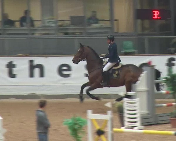 Reitturnier Kreuth 2017