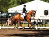 dressage horse Fleur La Rouge (Hanoverian, 2010, from Fürst Nymphenburg)