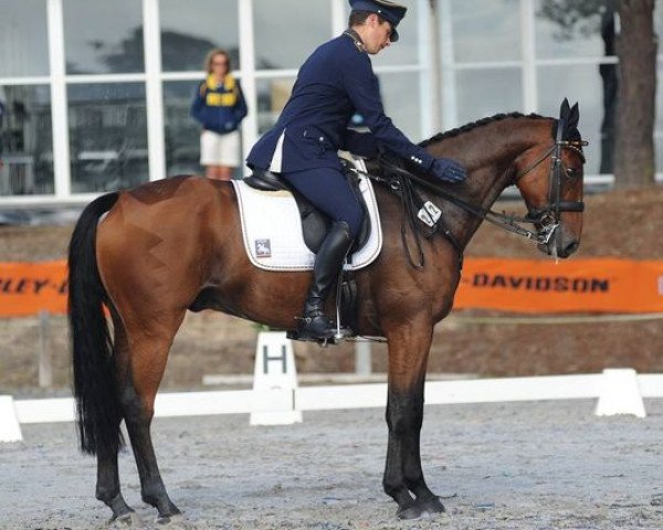 horse Green Mount Flight (Irish Sport Horse, 2006, from Errigal Flight)