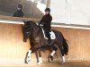 dressage horse Djoe Black (Rhinelander, 2013, from Delamanga)