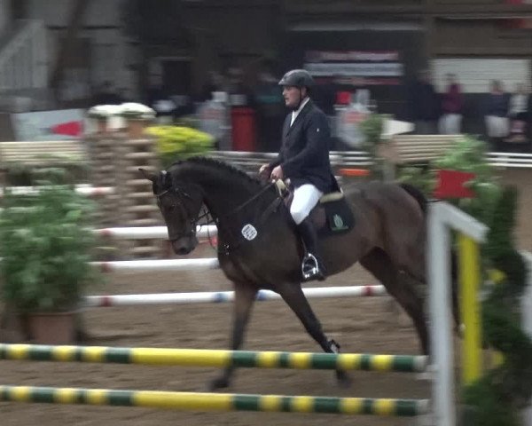 Reitturnier HH-Hummelsbüttel 2017