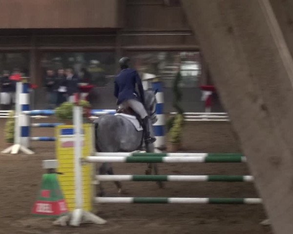 Reitturnier HH-Hummelsbüttel 2017