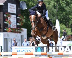 jumper Blue Boy Ge (German Sport Horse, 2012, from Blue Balou)