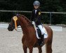 dressage horse Raccardo (German Riding Pony, 2004, from Rashing Boy)