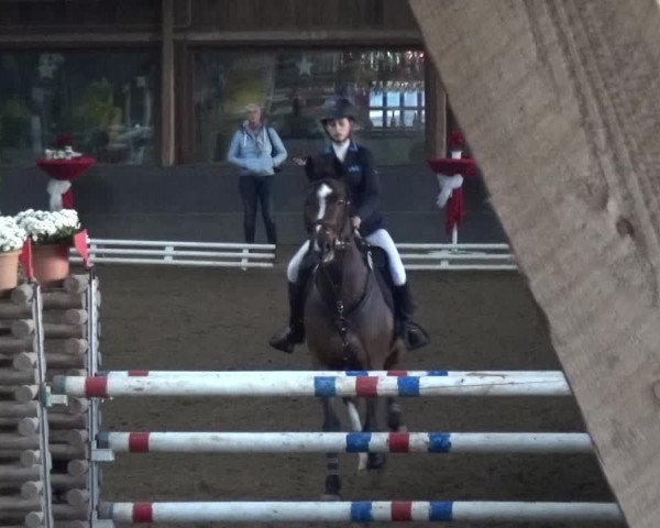 Reitturnier HH-Hummelsbüttel 2017