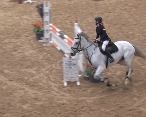 Reitturnier Kreuth 2017