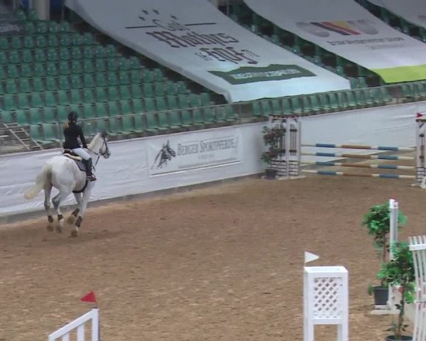 Reitturnier Kreuth 2017