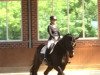 dressage horse His Highlight 6 (Hanoverian, 2005, from His Highness)