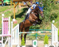 Springpferd Caruso (Italienisches Warmblut, 2011, von Canturo)