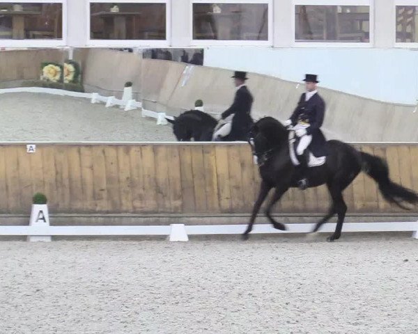 Reitturnier Freudenberg 2017