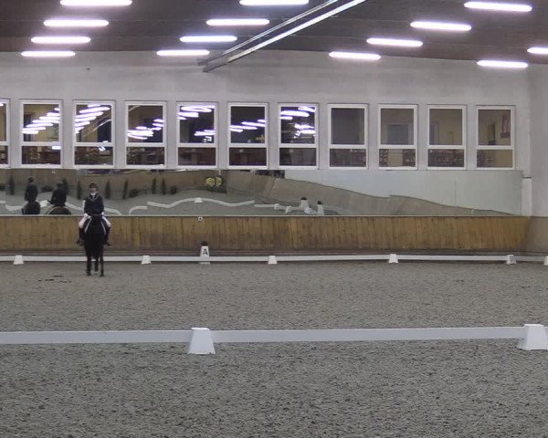Reitturnier Freudenberg 2017