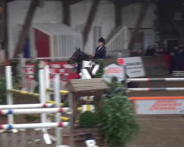 Reitturnier HH-Hummelsbüttel 2017