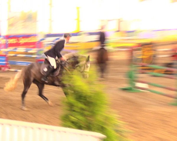 Reitturnier Pausin 2017