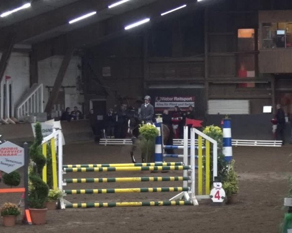 Reitturnier HH-Hummelsbüttel 2017