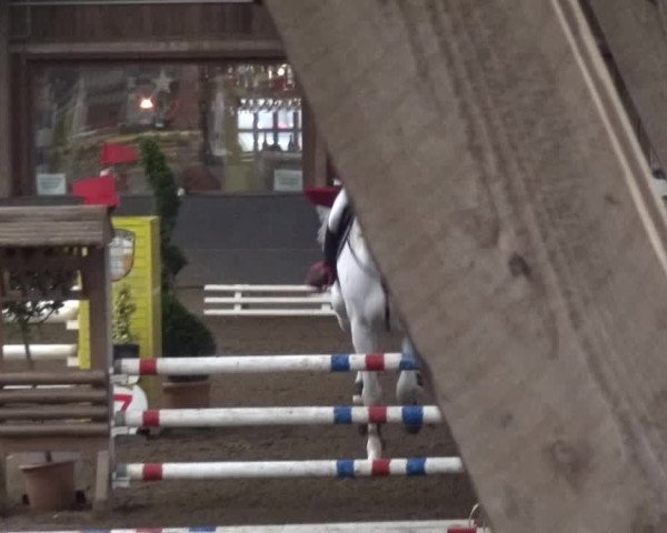 Reitturnier HH-Hummelsbüttel 2017