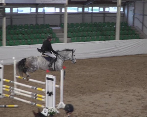 Reitturnier Zweibrücken 2017