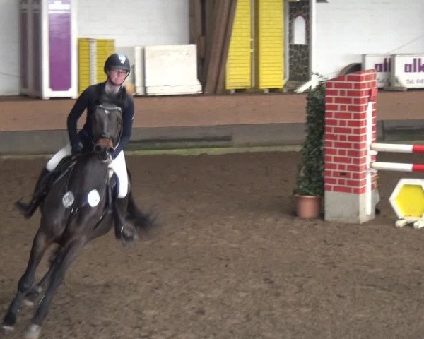 Reitturnier HH-Hummelsbüttel 2017