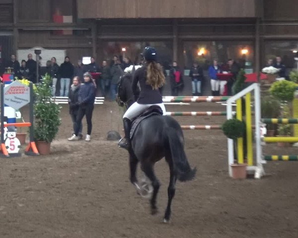 Reitturnier HH-Hummelsbüttel 2017