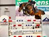 broodmare Charinta (Oldenburg show jumper, 2009, from Chacco-Blue)