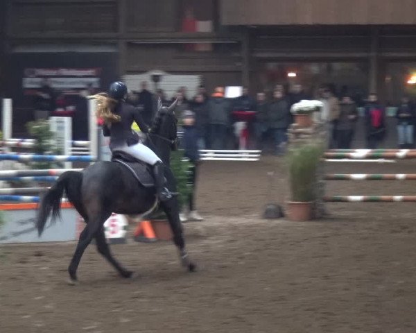 Reitturnier HH-Hummelsbüttel 2017